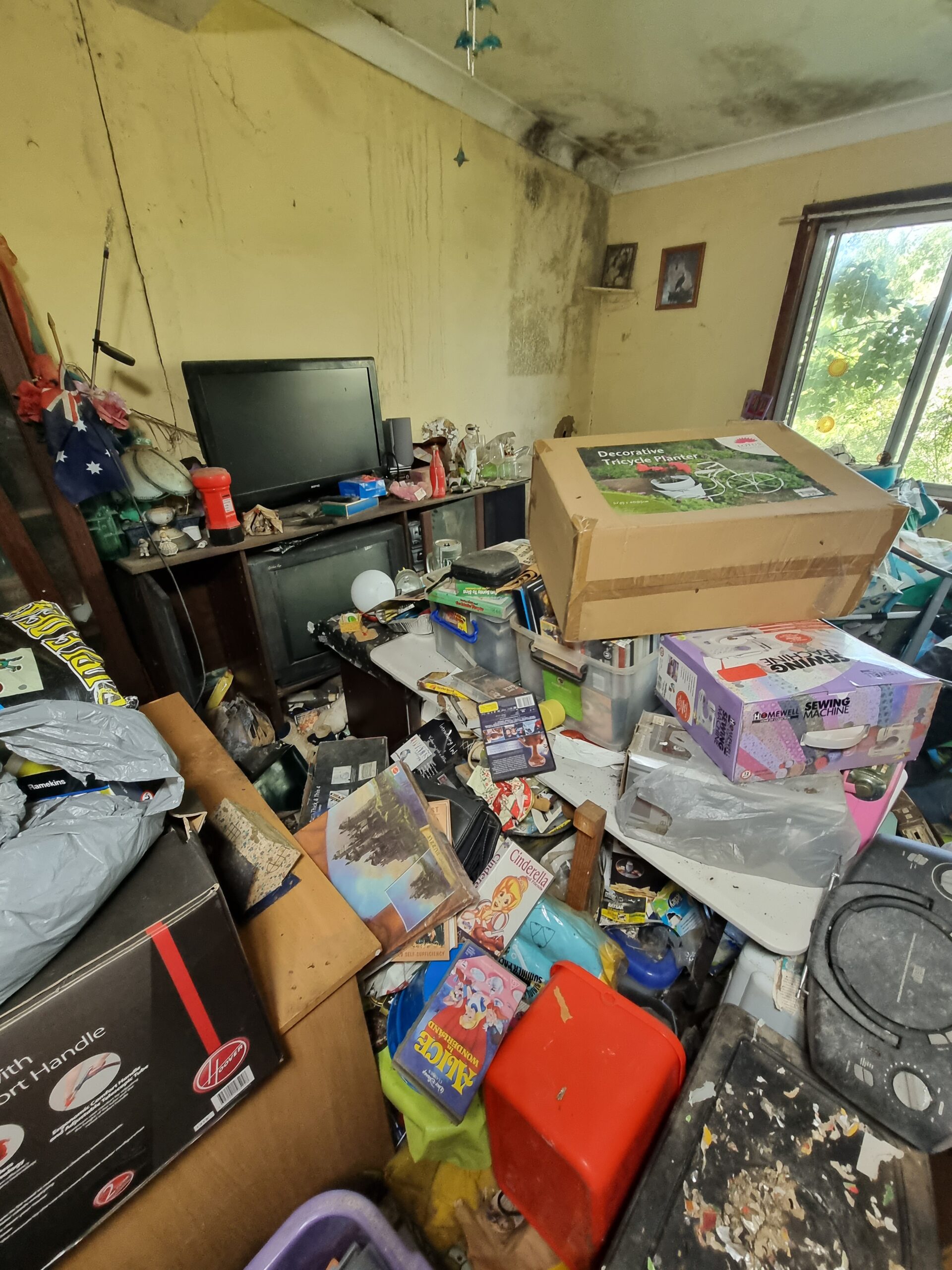 Central Coast / Hunter Georgetown